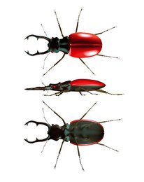 Insectenloep Triple