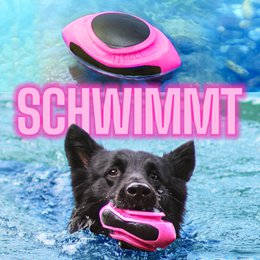 NE & NO® Dog Football-Floatable
