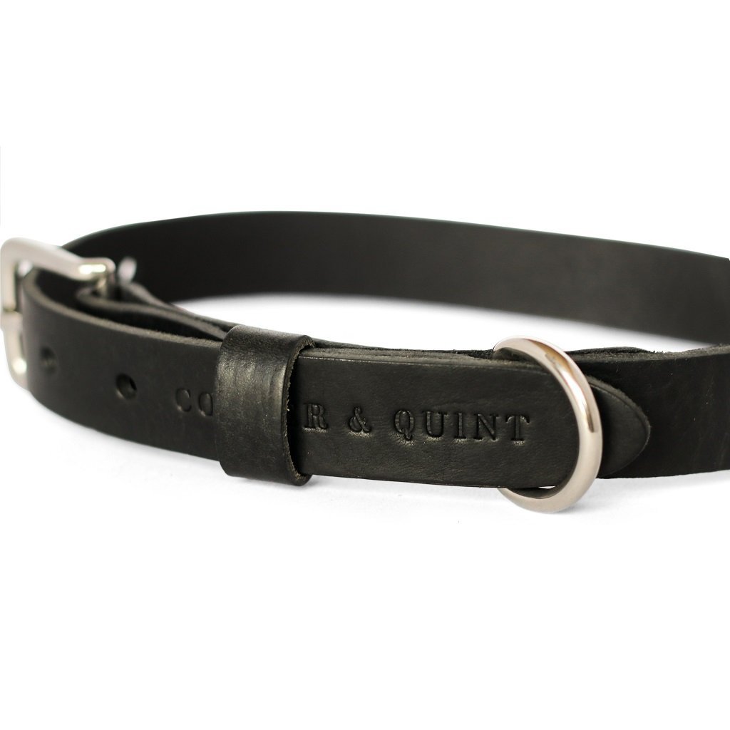 No Fus Collar Dog Leather Nero