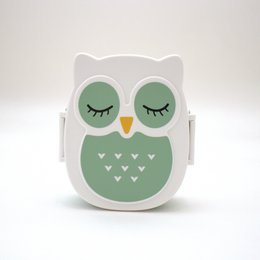 Snack box - Lunchbox Owl airtight & BPA free - Mint