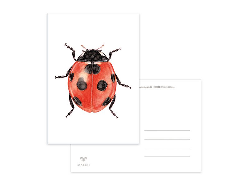 Postkarte Lucky Bug