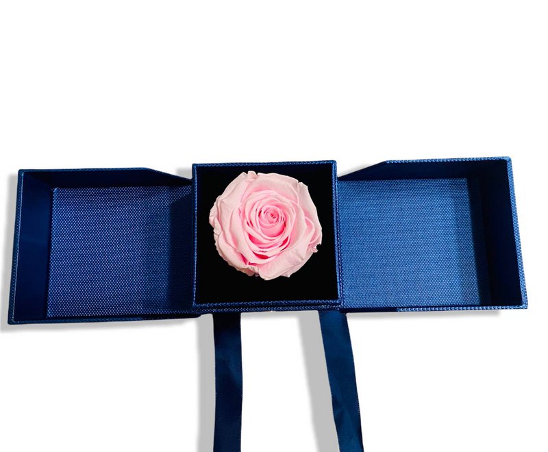 Eternal Rose Rose in Box Jewelery Box Blue, Real Rose