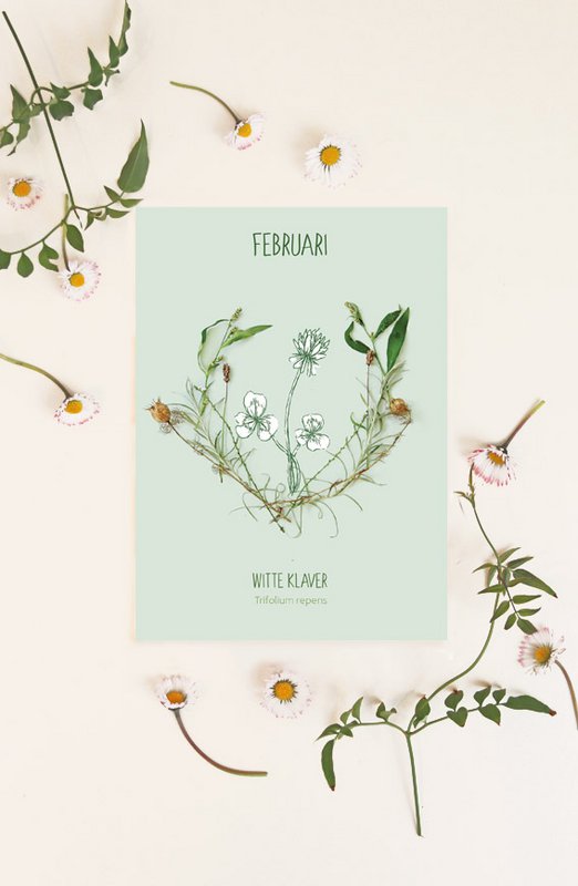 Map monthly flower February