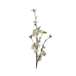 Decoris