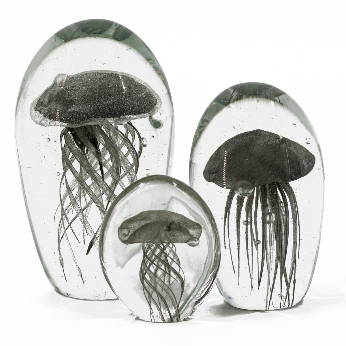 Jellyfish in glass