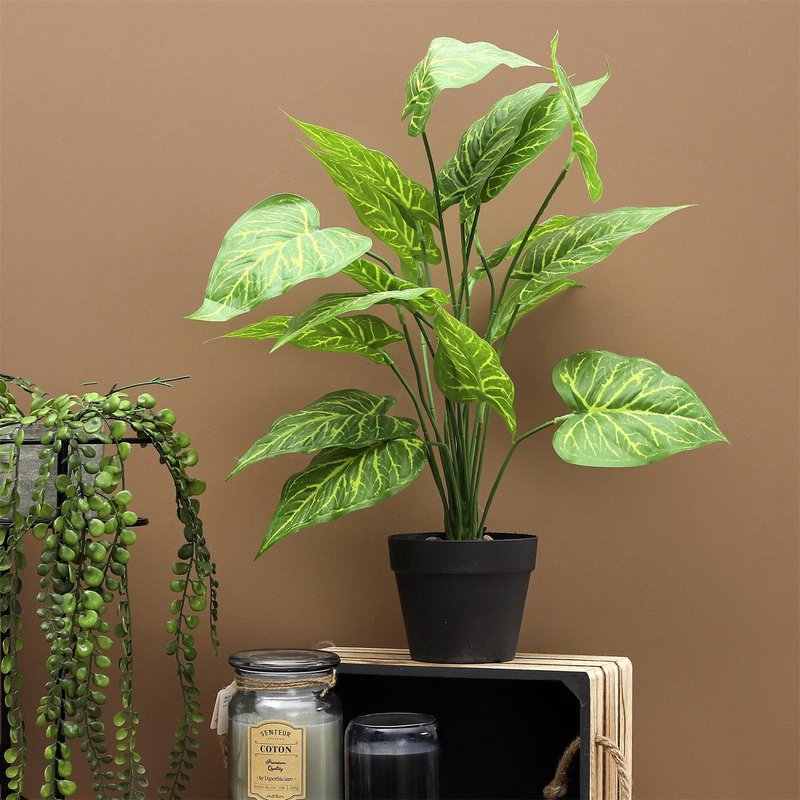 Plastic Dieffenbachia - Ø 15 x 55 cm - Tropical houseplant - Realistic fake plant - Maintenance -free and allergy -friendly inner plant - Green