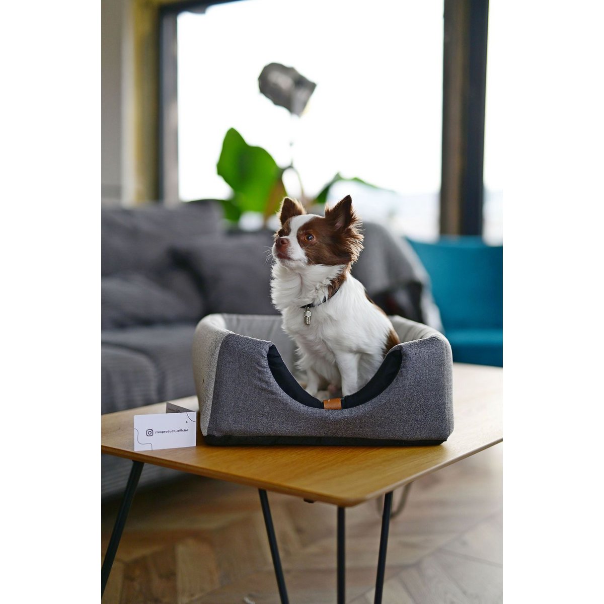 UP&DOWN niche pour chien 2en1- gris clair chiné