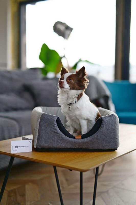UP&DOWN niche pour chien 2en1- gris clair chiné