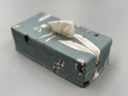 Cubierta de caja de pañuelos | Semillas Aguamarina