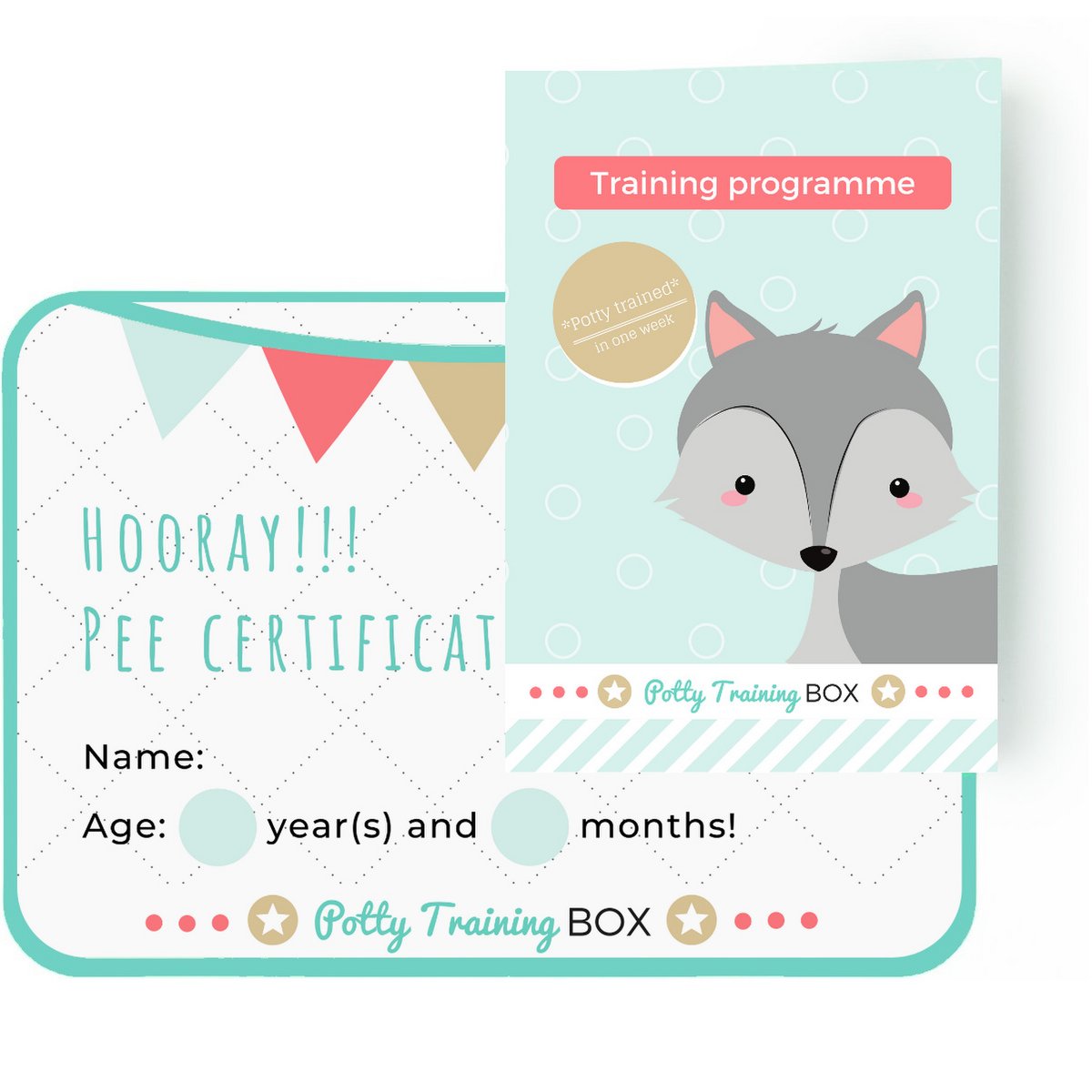 Potty Training Box - Potty training in 1 week - Includes stickercards and stickers