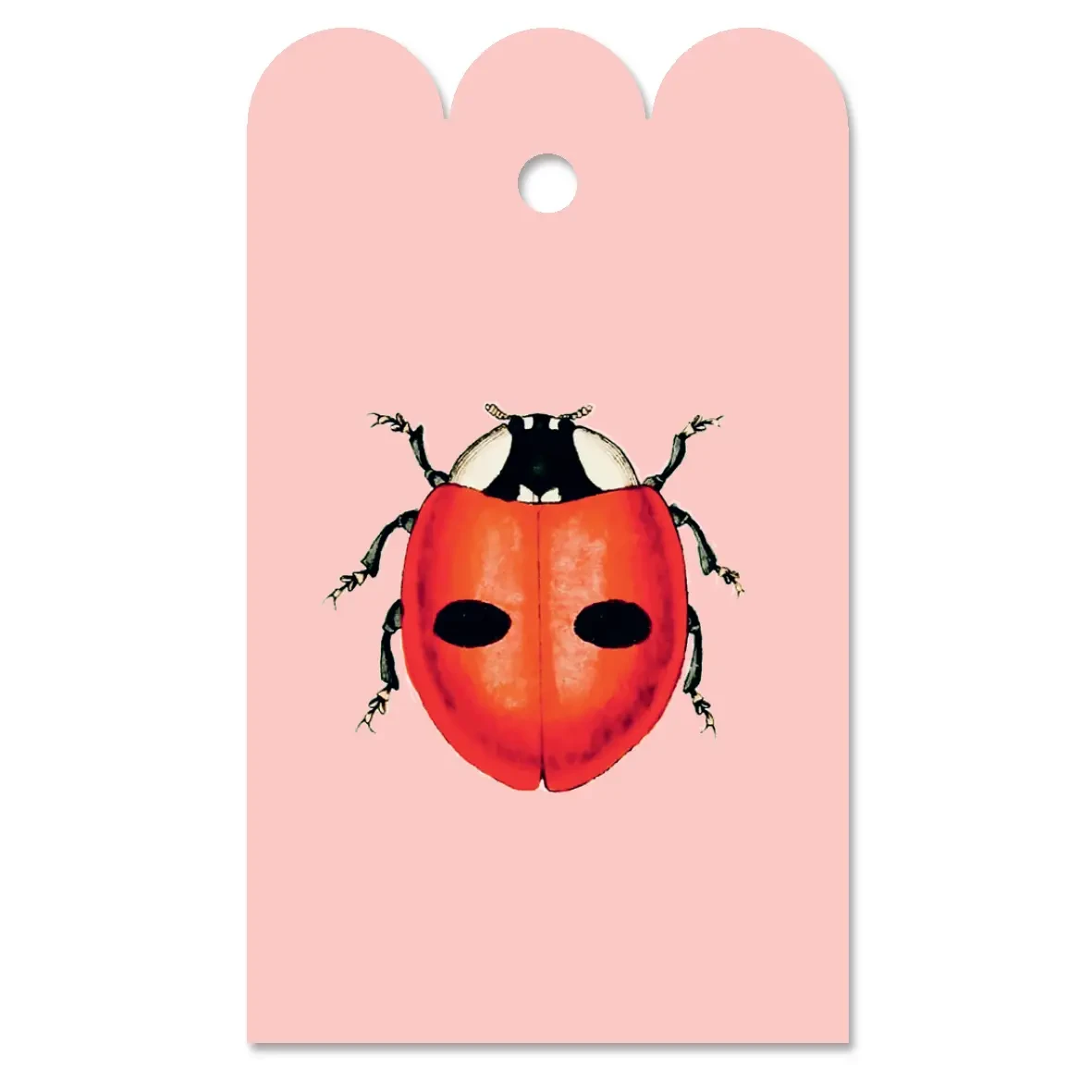 Gift Tag Belladonna