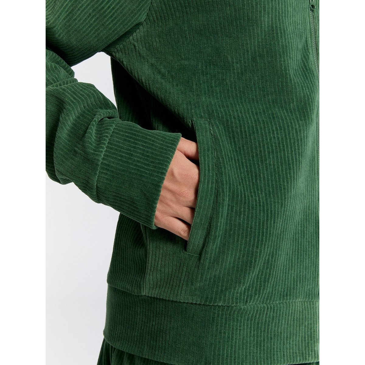 Tannennadel XL