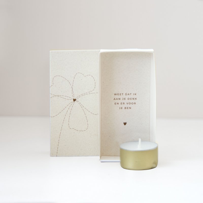 Light in a box bloem
