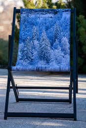 Transat - Chilienne - forêt de sapins - Design by Karadrone