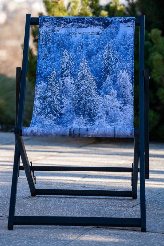 Transat - Chilienne - forêt de sapins - Design by Karadrone