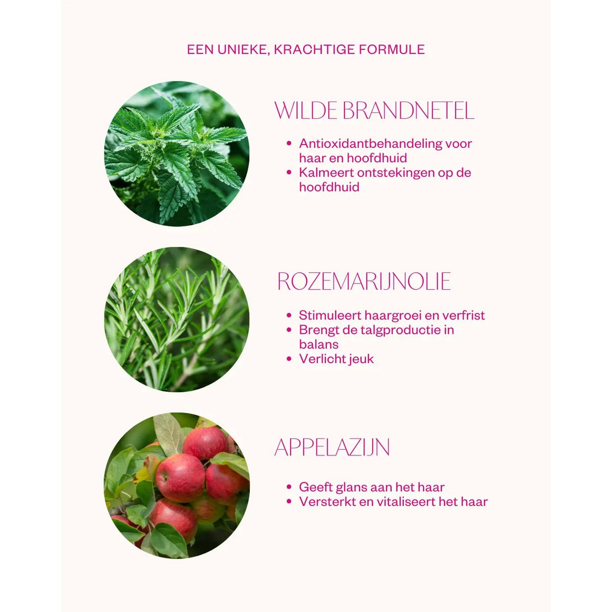 Appelazijn haarspoeling - Wild Nettle Hair Rinse
