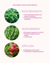 Appelazijn haarspoeling - Wild Nettle Hair Rinse