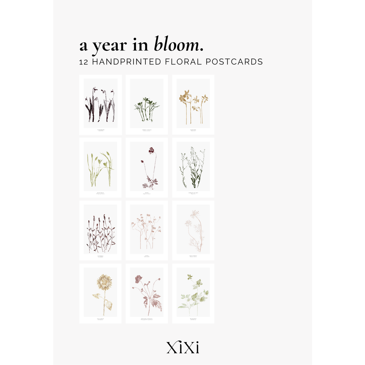 a year in bloom. Set of 12 handprinted floral postcards.