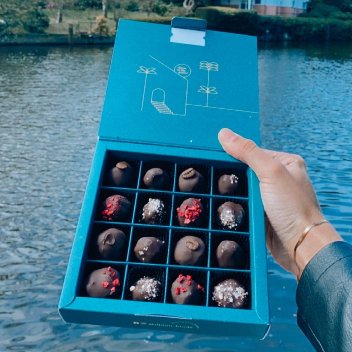 Organic date chocolates: mix pack