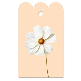 Gift day cosmea (jewelry basket flower)