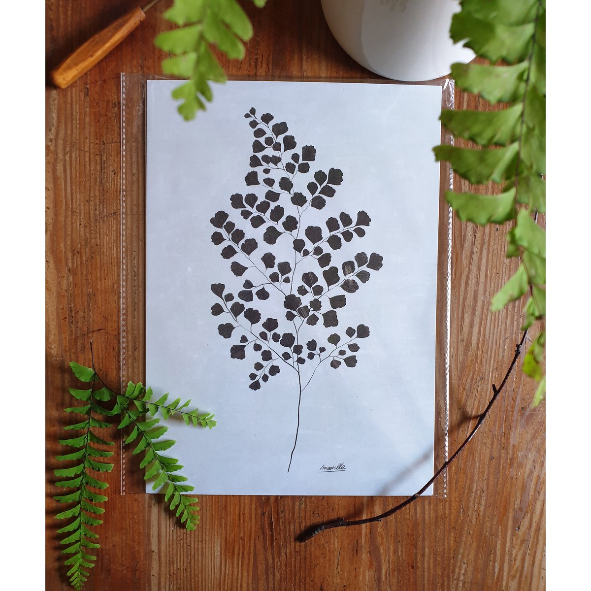 Plakat roślinny Scandi "Black Adiantum" A4 - Ekologiczne nadruki artystyczne na papierze z recyklingu w celofanie