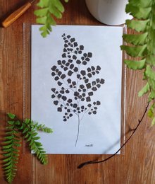 Sustainable art print featuring a black and white illustration of a fern leaf. Printed on recycled paper and packaged in cellophane.