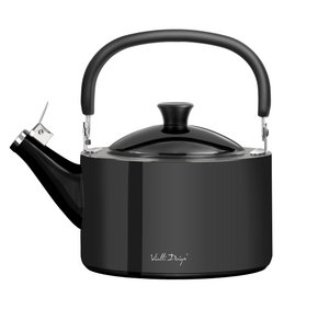 1.5l kettle with a whistle polished graphite DIAMANTE 8180