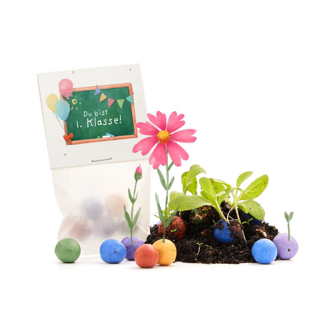 5er Blumenmurmeln im Pergaminbeutel - "Du bist 1. Klasse"- Einschulung
