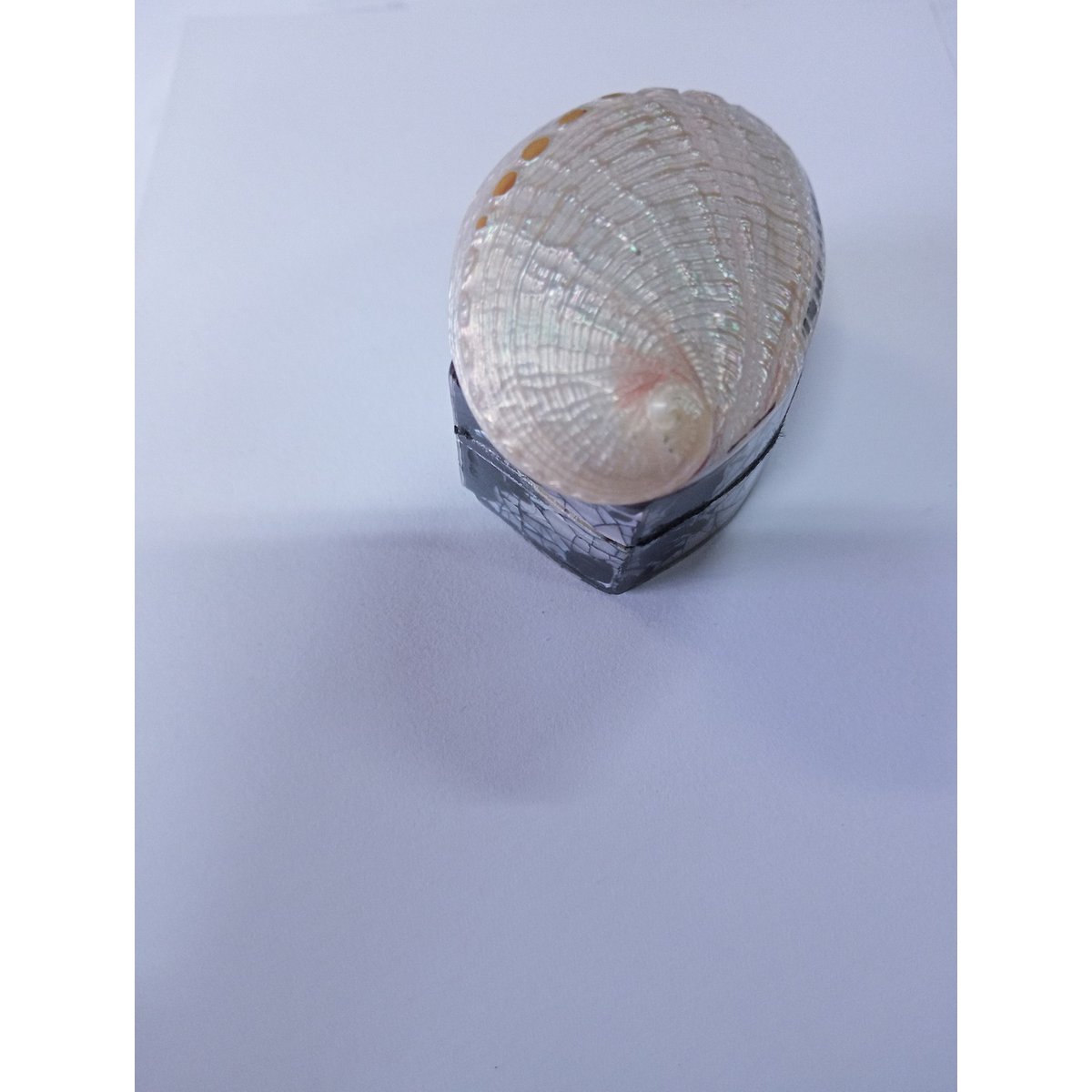 Ringbox Abalone Pillbox zęby