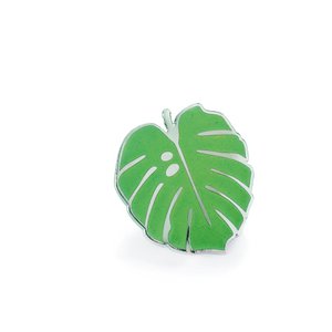 Pintastic | Little Monstera