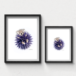 Vibrant purple globe thistle flower art print. Botanical wall art featuring a close-up of the unique spiky, spherical bloom.