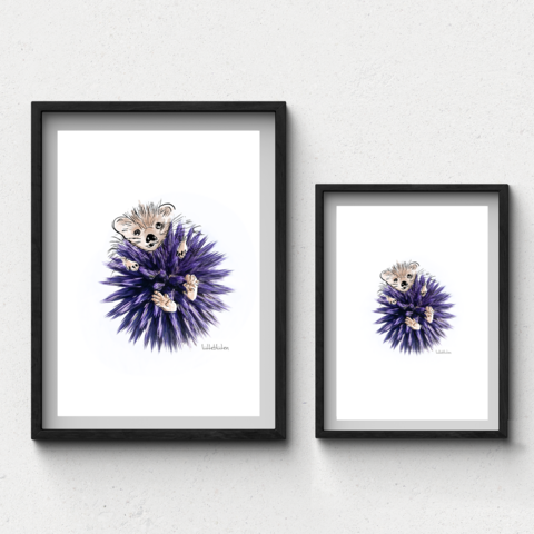 Globe Thistle Hedgehog - Kunstafdrukken