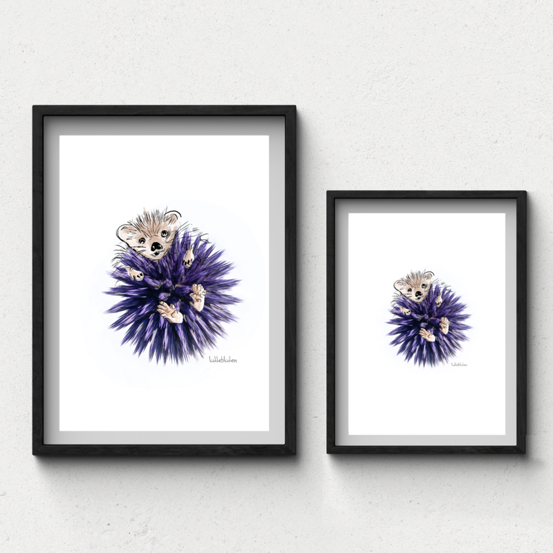 Globe Thistle Hedgehog - Kunsttryk