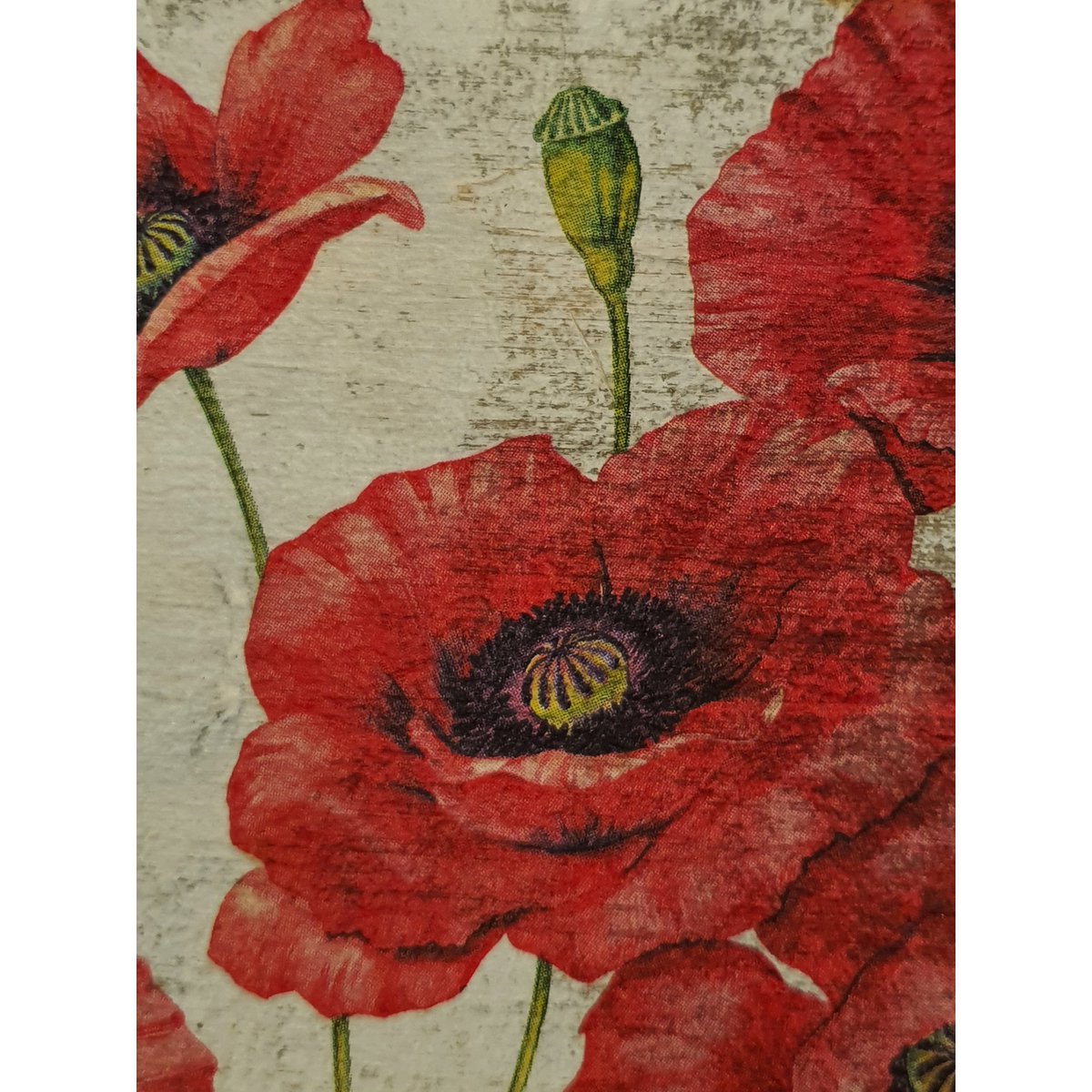 baldosas de madera viejas amapolas holandesas rojas