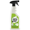 Allesreiniger Spray Basilicum & Vetiver