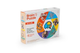 Brain Puzzles - set of 6