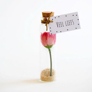 Blumenflasche der Liebe
