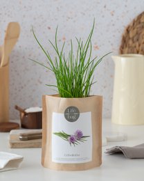 Grow Bag Chives