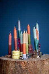 Dippy Winter '26-Kollektion