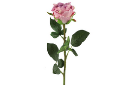Kunstbloem Rosa paars- L8B8H70CM