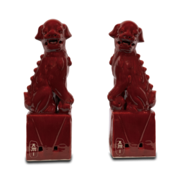 Conjunto de perro fu rojo