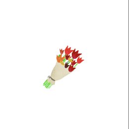 Kort Bunde tulipaner
