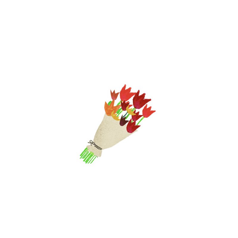 Kort Bunde tulipaner