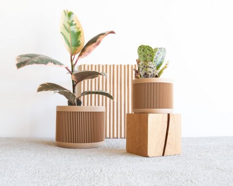 JAPAN Indoor Wood Planter