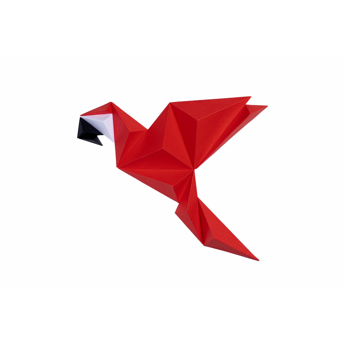 Parrot