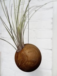 Hanging Sphere - Dark Oak