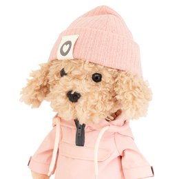 Plush toy, Lucky Doggy, Lucky Fendy: The Alp Season 38cm