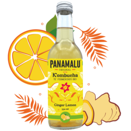 Ginger-lemon kombucha in a glass bottle with a tropical leaf background. The bottle is labeled "PANAMALU Kombucha Ginger Lemon".