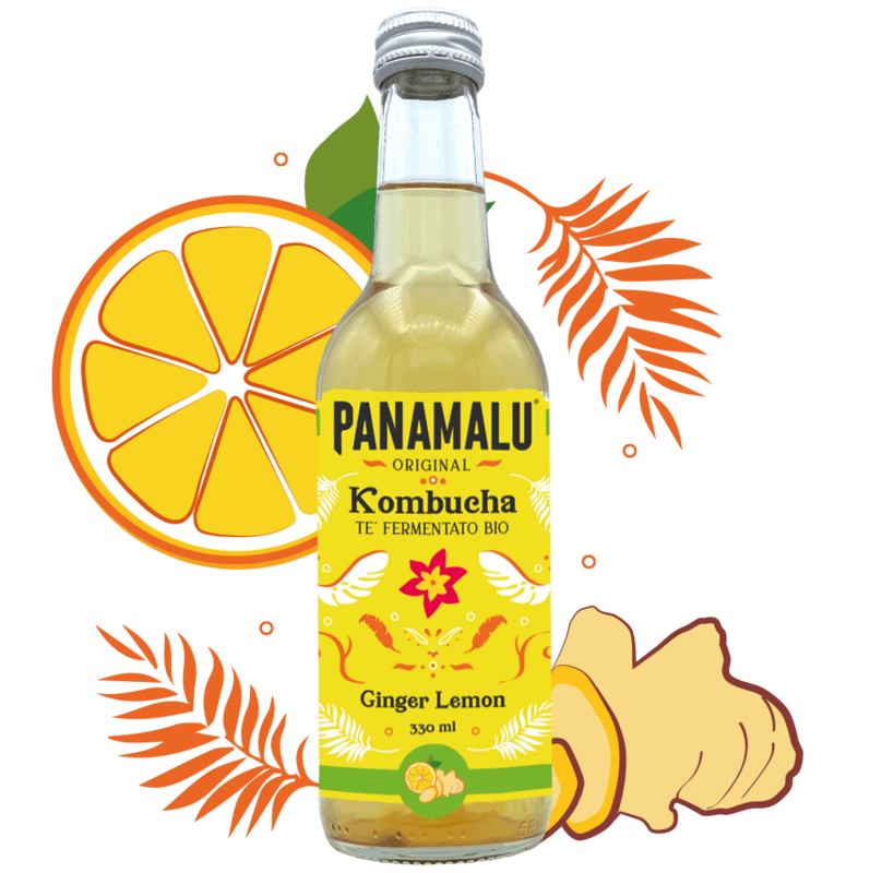 KOMBUCHA ZENZERO-LIMONE (SCATOLA DA 6 BOTTIGLIE 330ml)