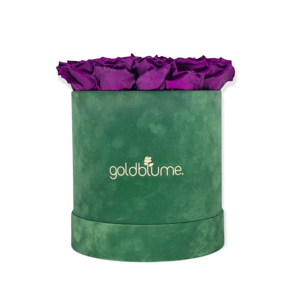 Velvet Green Collection